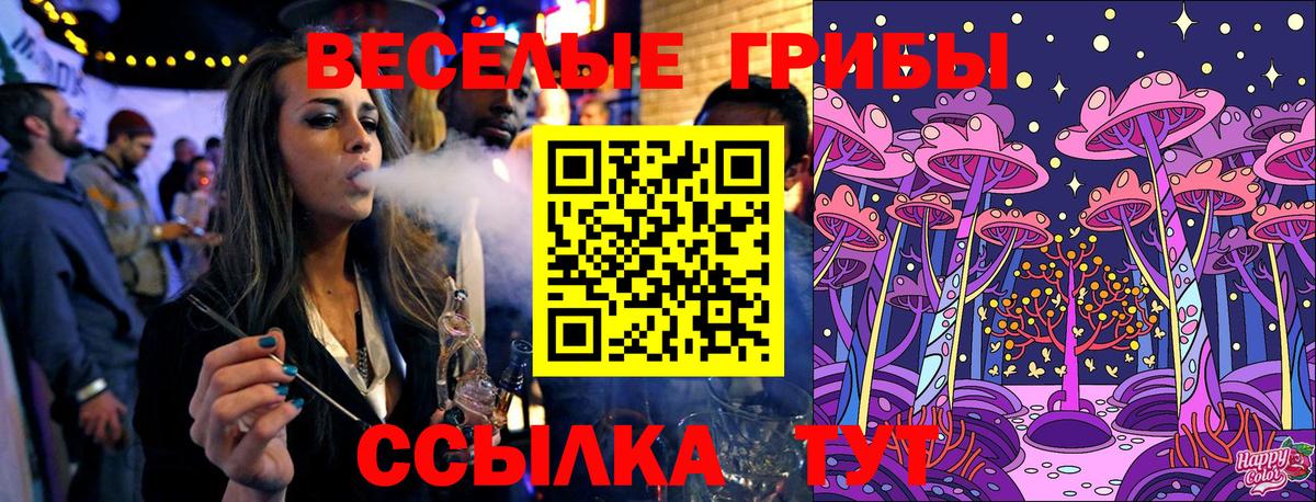 Благовещенск  Псилоцибиновые грибы прущие грибы  Вход с VPN  как найти наркотики  Галлюциногенные грибы Psilocybe 